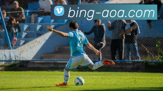 AOA体育平台生态图